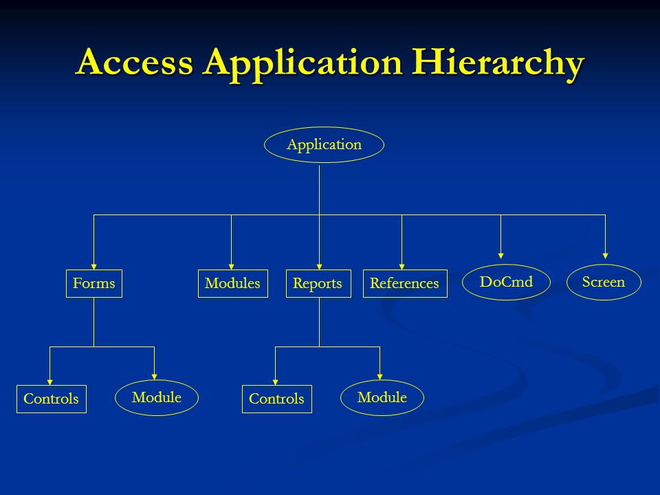 Access Application Hierarchy Controls ReferencesModulesReportsForms Module Application ScreenDoCmd Controls Module