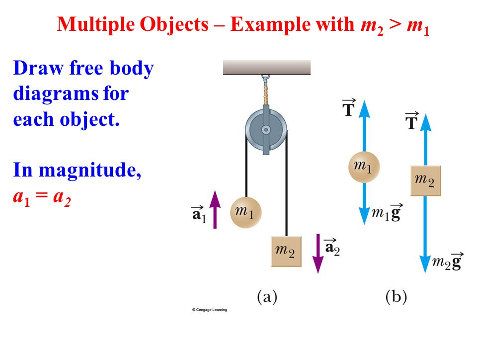 Multiple objects. Object examples.