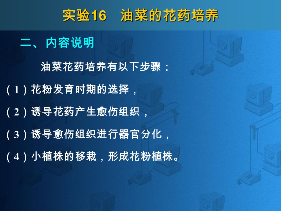 实验16 油菜的花药培养了解和学习油菜花药培养技术 一 目的 实验16 油菜的花药培养油菜花药培养是获得单倍体的重要途径 如果利用杂种一代的花药培养 可将杂种一代的异质配子培育成单倍体小植株 经染色体加倍形成双单倍体纯合个体 经选择可以获得优异的材料 从而