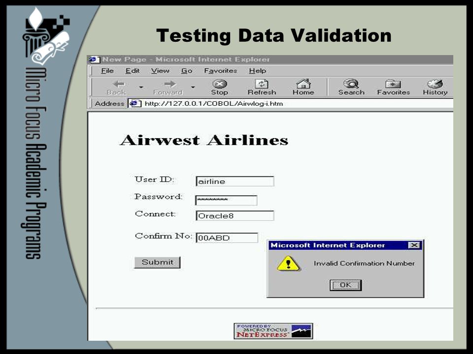 Testing Data Validation