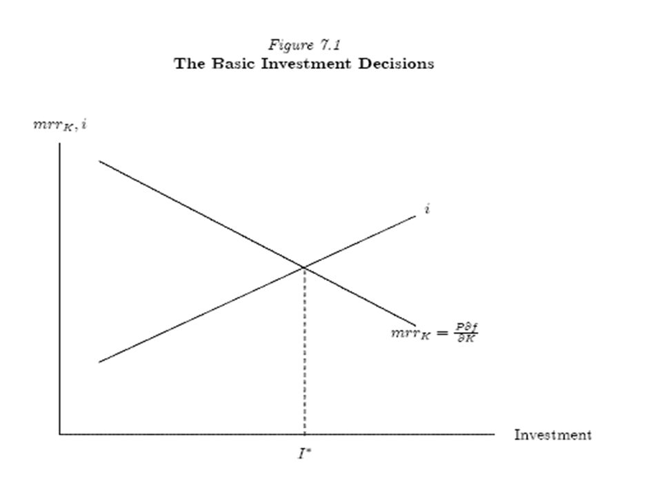 The corporation : investment, mergers, and growth