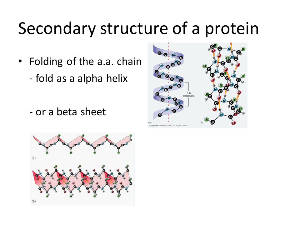 Secondary structure of a protein Folding of the a.a.