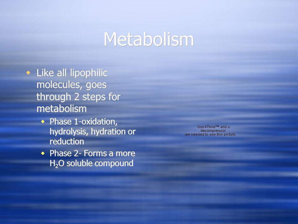 Metabolism  Like all lipophilic molecules, goes through 2 steps for metabolism  Phase 1-oxidation, hydrolysis, hydration or reduction  Phase 2- Forms a more H 2 O soluble compound  Like all lipophilic molecules, goes through 2 steps for metabolism  Phase 1-oxidation, hydrolysis, hydration or reduction  Phase 2- Forms a more H 2 O soluble compound