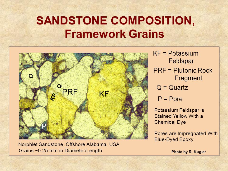 SANDSTONE COMPOSITION, Framework Grains Norphlet Sandstone, Offshore Alabama, USA Grains ~0.25 mm in Diameter/Length PRF KF P KF = Potassium Feldspar PRF = Plutonic Rock Fragment P = Pore Potassium Feldspar is Stained Yellow With a Chemical Dye Pores are Impregnated With Blue-Dyed Epoxy KF Q Q Q = Quartz Photo by R.