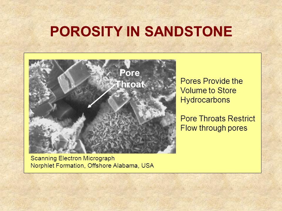 POROSITY IN SANDSTONE Scanning Electron Micrograph Norphlet Formation, Offshore Alabama, USA Pores Provide the Volume to Store Hydrocarbons Pore Throats Restrict Flow through pores Pore Throat