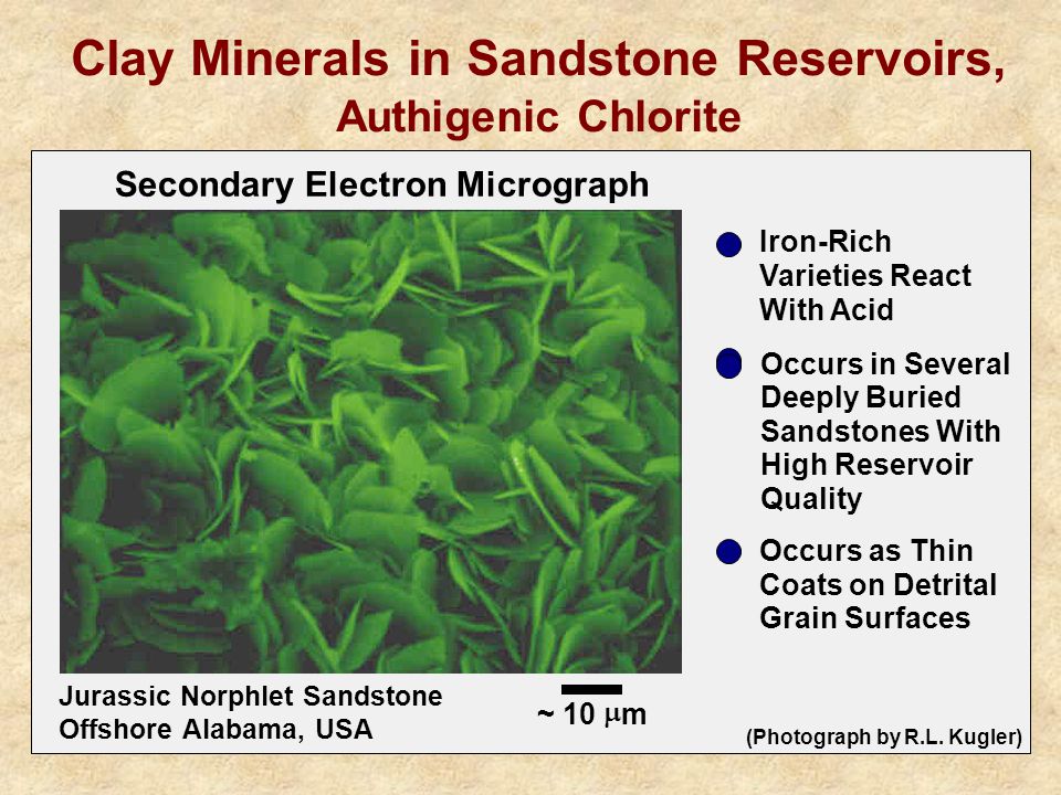 Secondary Electron Micrograph Clay Minerals in Sandstone Reservoirs, Authigenic Chlorite Jurassic Norphlet Sandstone Offshore Alabama, USA (Photograph by R.L.