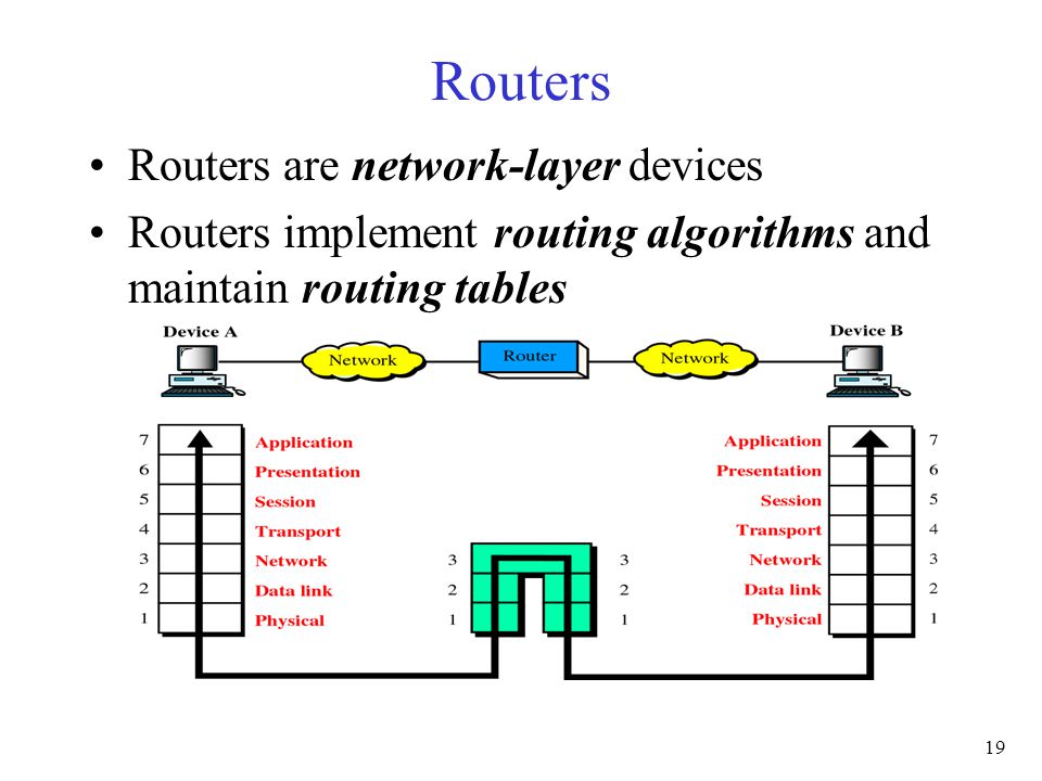 19 Routers Routers are network-layer devices Routers implement routing algorithms and maintain routing tables