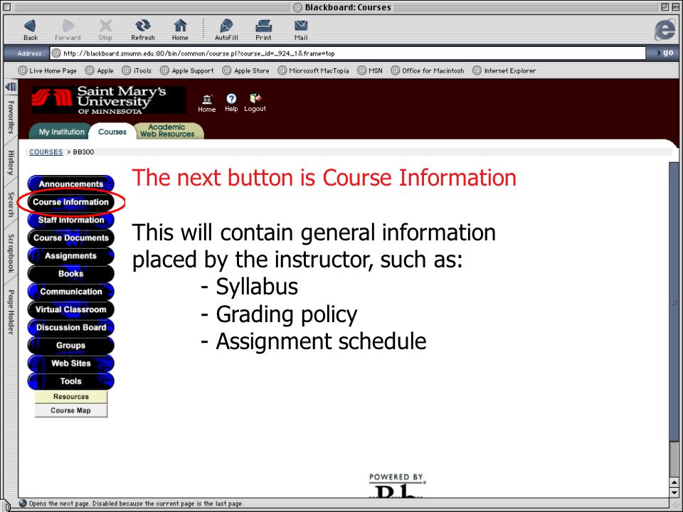 Course Information The next button is Course Information This will contain general information placed by the instructor, such as: - Syllabus - Grading policy - Assignment schedule