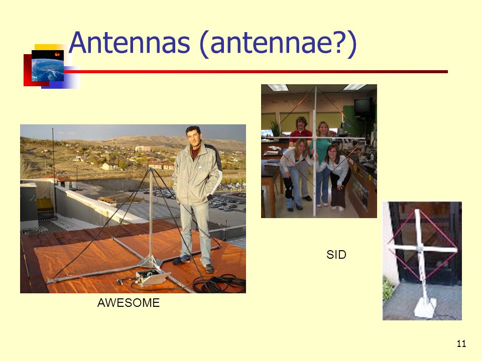 11 Antennas (antennae ) AWESOME SID