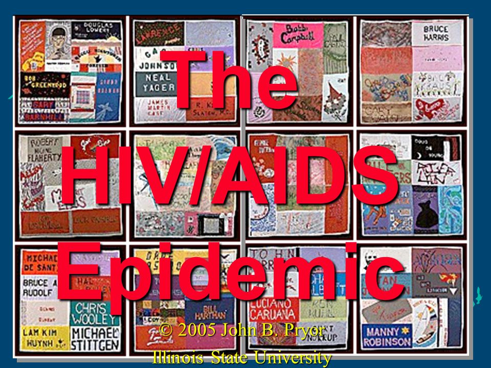 The HIV/AIDS Epidemic © 2005 John B. Pryor Illinois State University