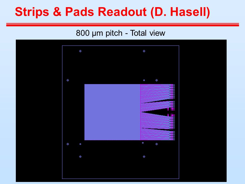 Strips & Pads Readout (D. Hasell) 800 μm pitch - Total view