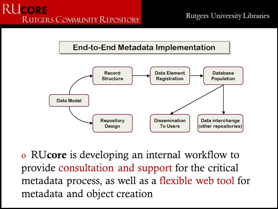 o RU core is developing an internal workflow to provide consultation and support for the critical metadata process, as well as a flexible web tool for metadata and object creation