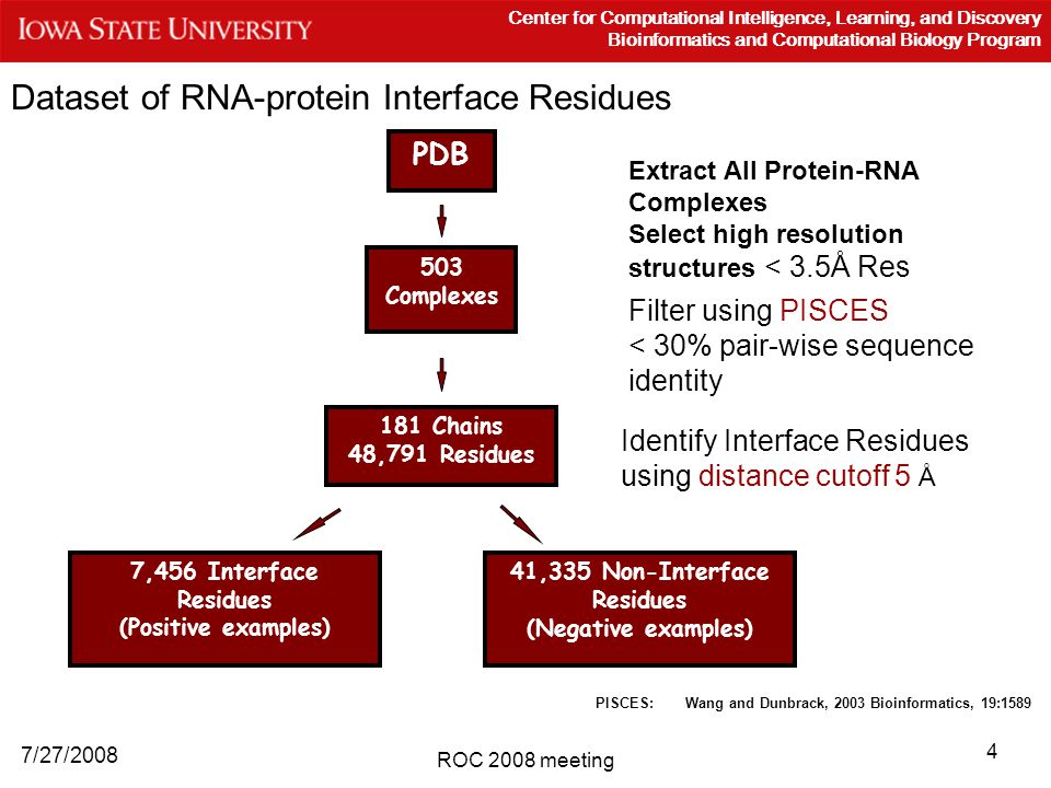 4 7/27/2008 Center for Computational Intelligence, Learning, and Discovery Bioinformatics and Computational Biology Program ROC 2008 meeting Dataset of RNA-protein Interface Residues Extract All Protein-RNA Complexes Select high resolution structures < 3.5Å Res PDB 503 Complexes 181 Chains 48,791 Residues Filter using PISCES < 30% pair-wise sequence identity Identify Interface Residues using distance cutoff 5 Å 7,456 Interface Residues (Positive examples) 41,335 Non-Interface Residues (Negative examples) PISCES: Wang and Dunbrack, 2003 Bioinformatics, 19:1589