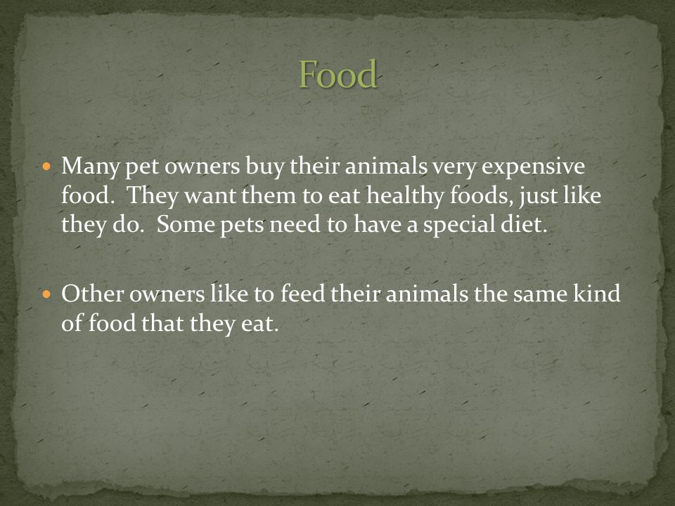 Many pet owners buy their animals very expensive food.