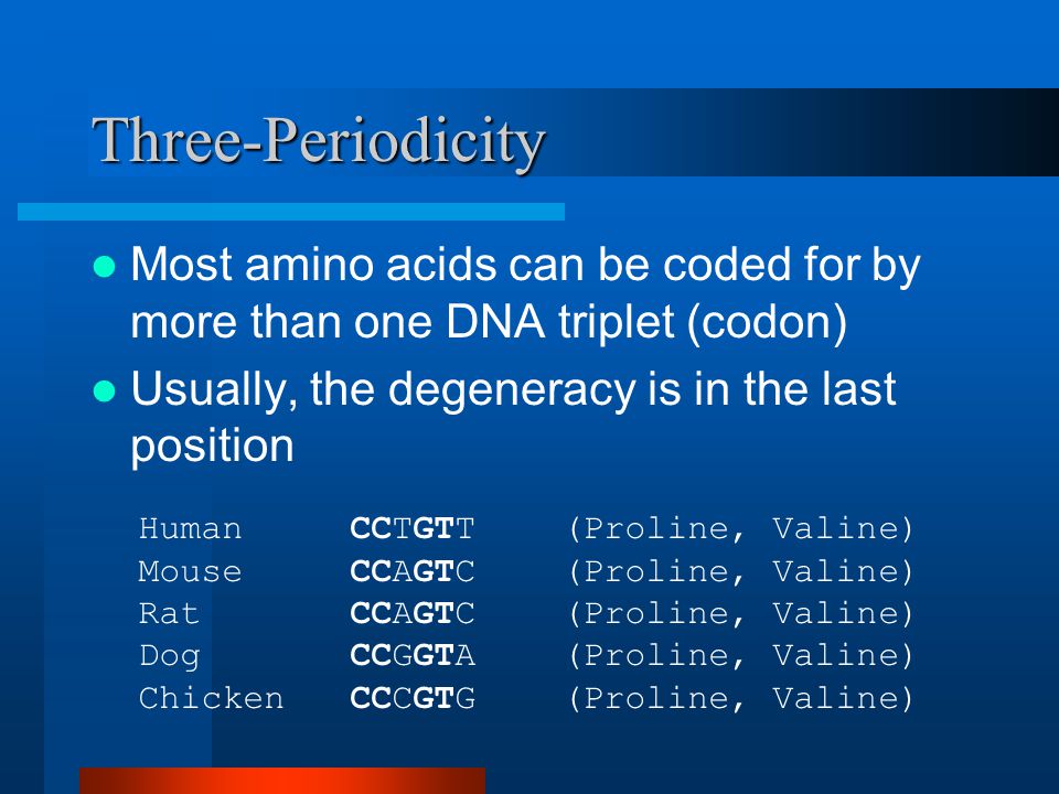 Three-Periodicity Most amino acids can be coded for by more than one DNA triplet (codon) Usually, the degeneracy is in the last position HumanCCTGTT(Proline, Valine) MouseCCAGTC(Proline, Valine) RatCCAGTC(Proline, Valine) DogCCGGTA(Proline, Valine) ChickenCCCGTG(Proline, Valine)