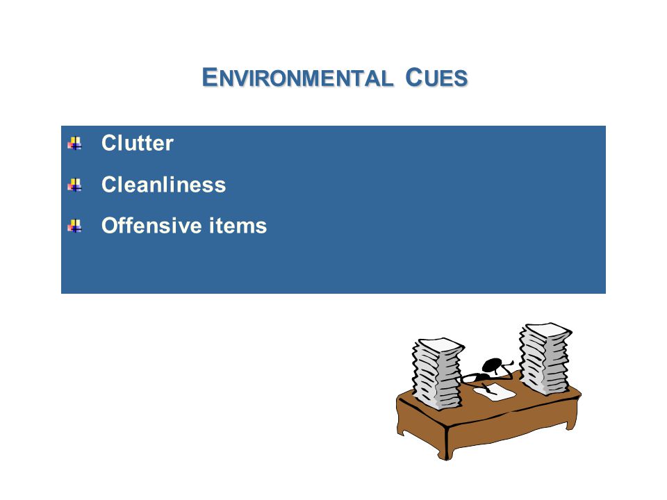 E NVIRONMENTAL C UES Clutter Cleanliness Offensive items