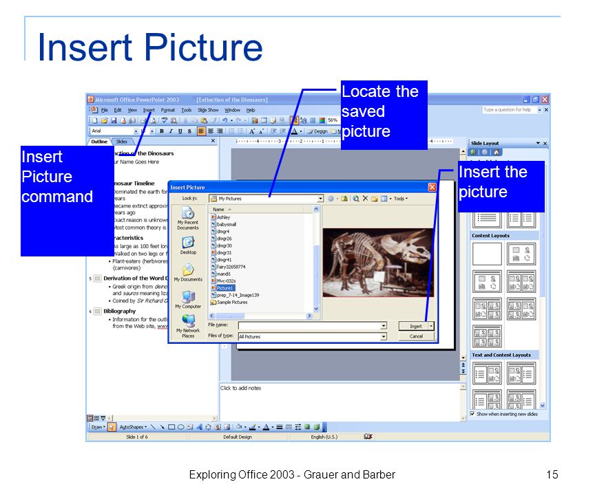 Exploring Office Grauer and Barber 15 Insert Picture Insert the picture Insert Picture command Locate the saved picture