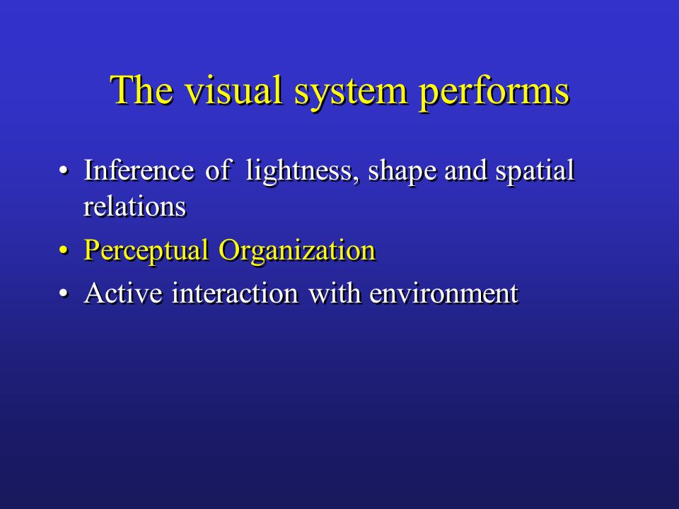 The visual system performs Inference of lightness, shape and spatial relations Perceptual Organization Active interaction with environment Inference of lightness, shape and spatial relations Perceptual Organization Active interaction with environment