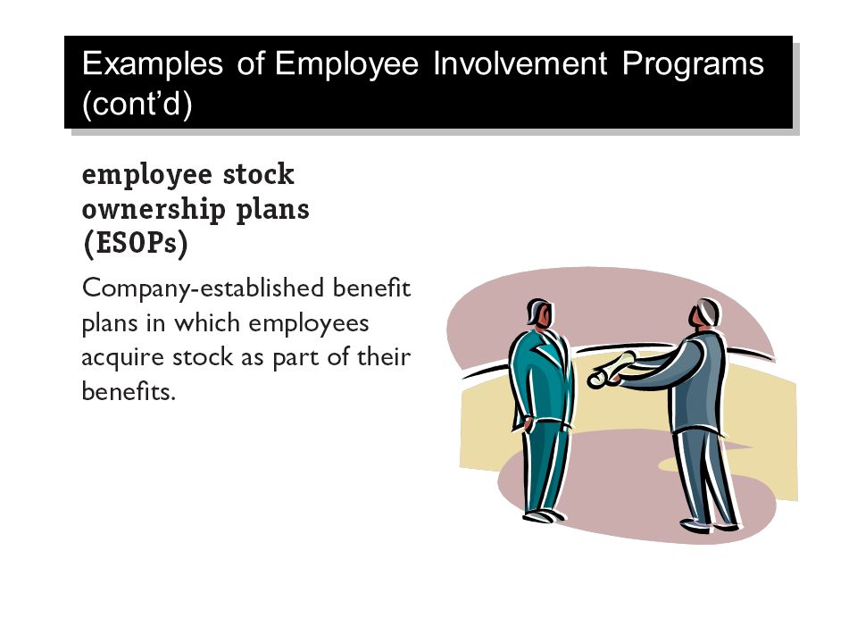 Examples of Employee Involvement Programs (cont’d)