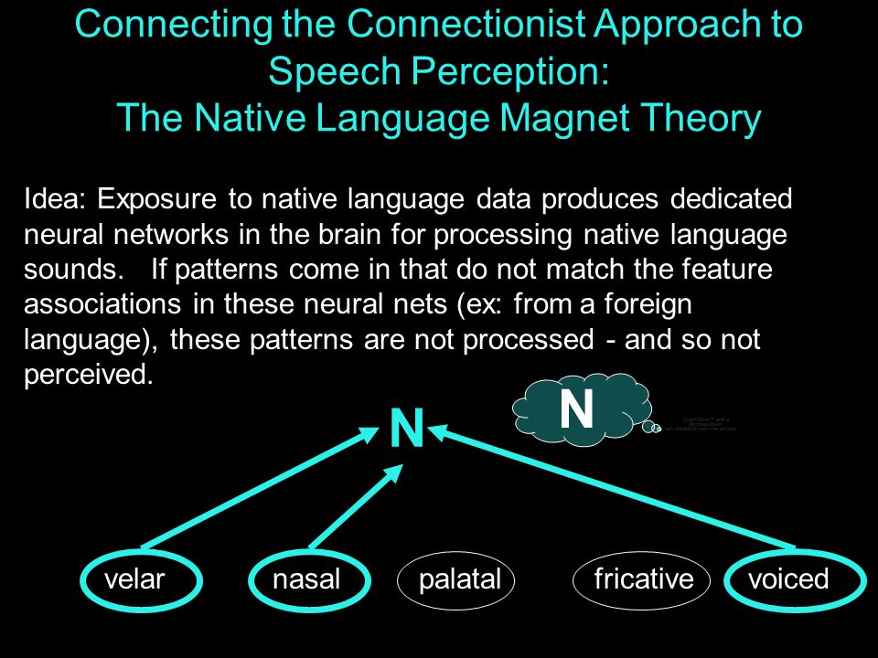 Psych 56L/ Ling 51: Acquisition of Language Lecture 8 Phonological  Development III. - ppt download