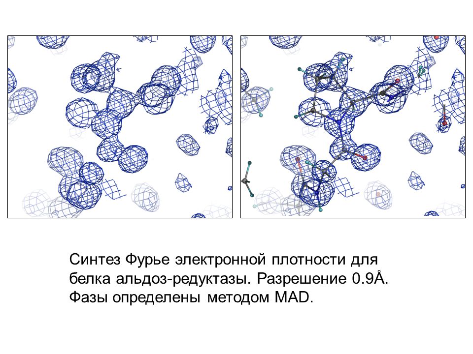 Ран биологии