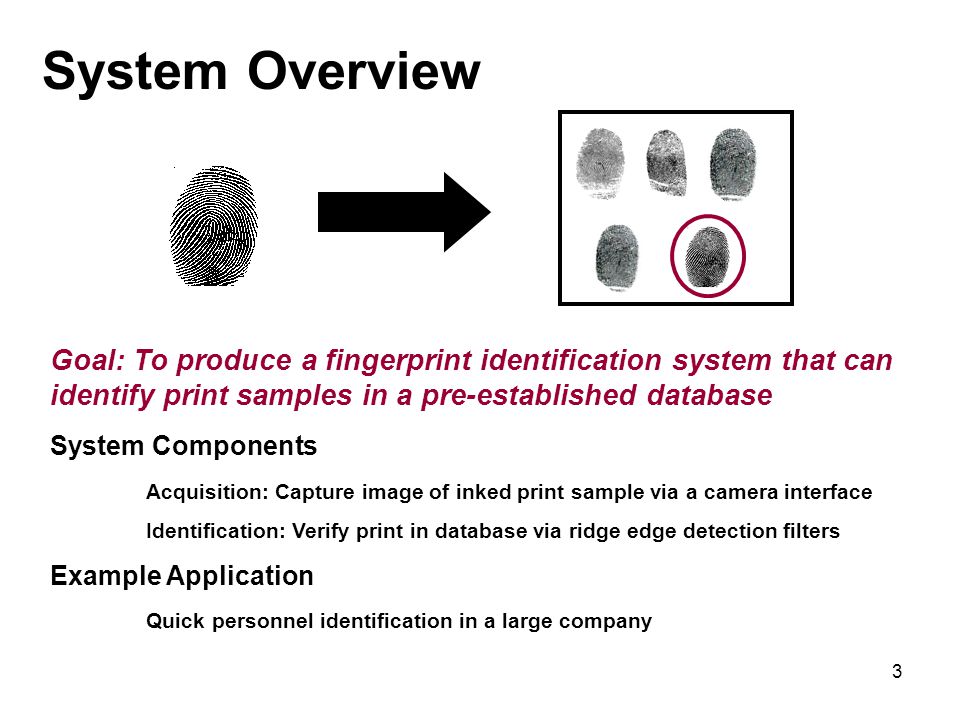 3 System Overview Goal: To produce a fingerprint identification system that can identify print samples in a pre-established database System Components Acquisition: Capture image of inked print sample via a camera interface Identification: Verify print in database via ridge edge detection filters Example Application Quick personnel identification in a large company