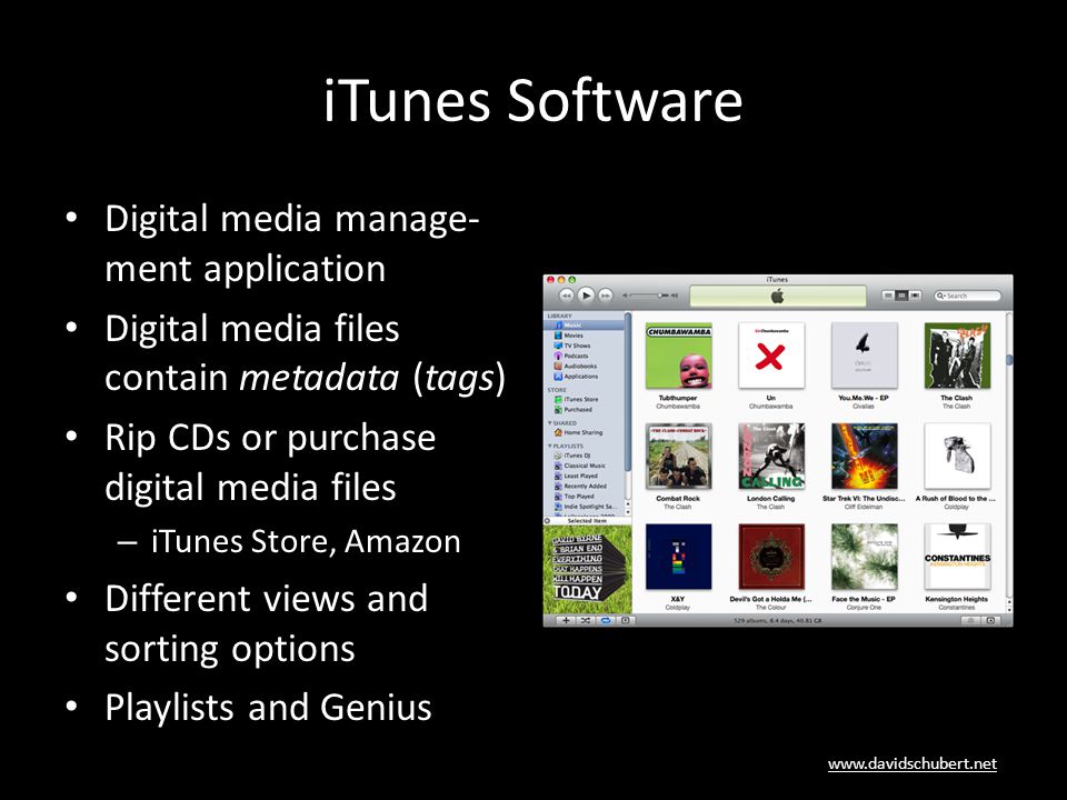 iTunes Software Digital media manage- ment application Digital media files contain metadata (tags) Rip CDs or purchase digital media files – iTunes Store, Amazon Different views and sorting options Playlists and Genius