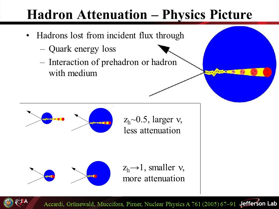 Hadron Attenuation – Physics Picture Hadrons lost from incident flux through –Quark energy loss –Interaction of prehadron or hadron with medium z h ~0.5, larger  less attenuation z h →1, smaller  more attenuation Accardi, Grünewald, Muccifora, Pirner, Nuclear Physics A 761 (2005) 67–91