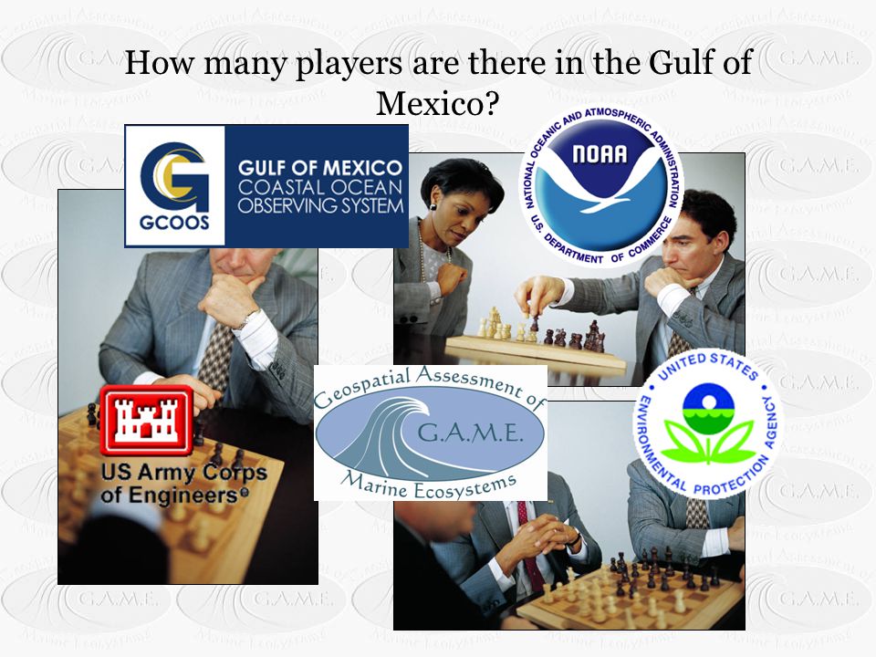 How many players are there in the Gulf of Mexico