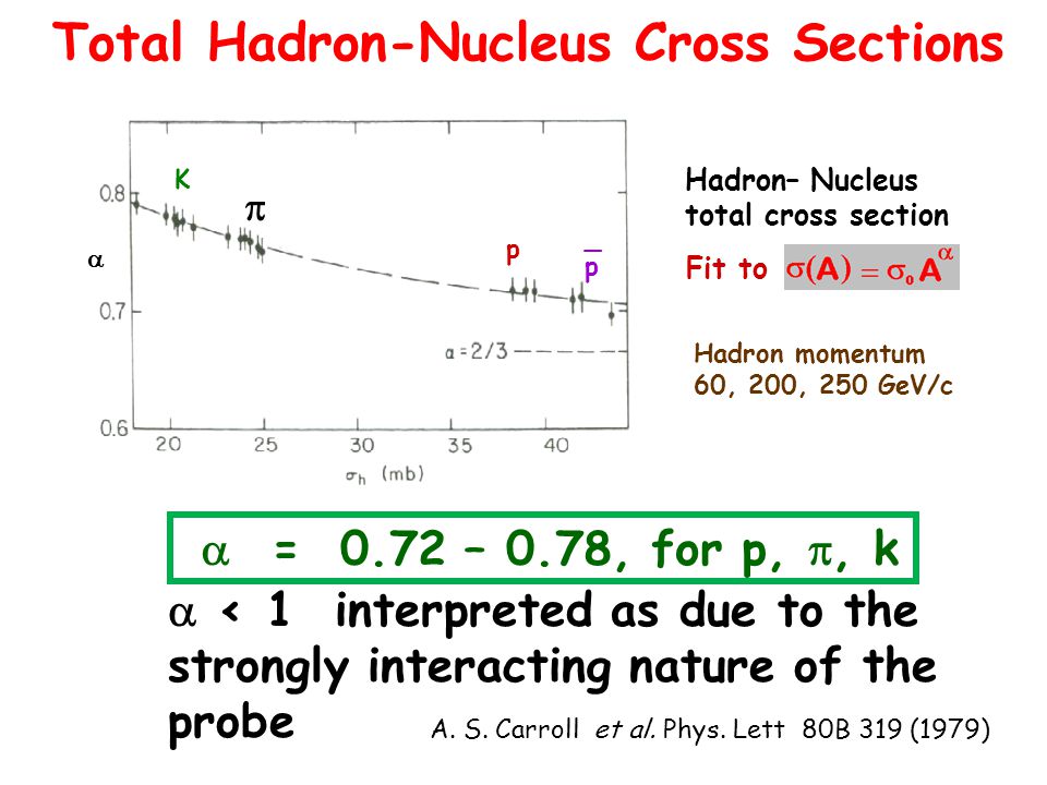 Total Hadron-Nucleus Cross Sections Hadron– Nucleus total cross section Fit to  K  p p _ Hadron momentum 60, 200, 250 GeV/c  < 1 interpreted as due to the strongly interacting nature of the probe A.