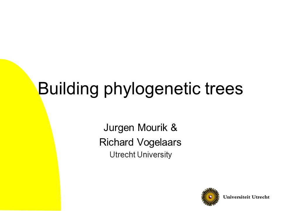 Building phylogenetic trees Jurgen Mourik & Richard Vogelaars Utrecht University