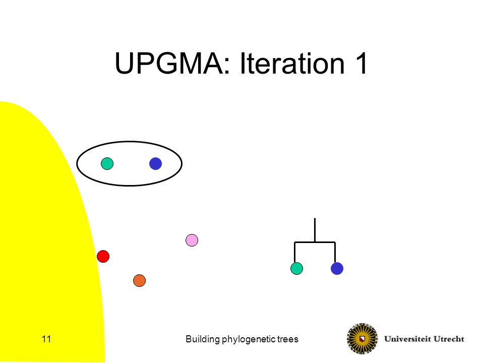 Building phylogenetic trees11 UPGMA: Iteration 1