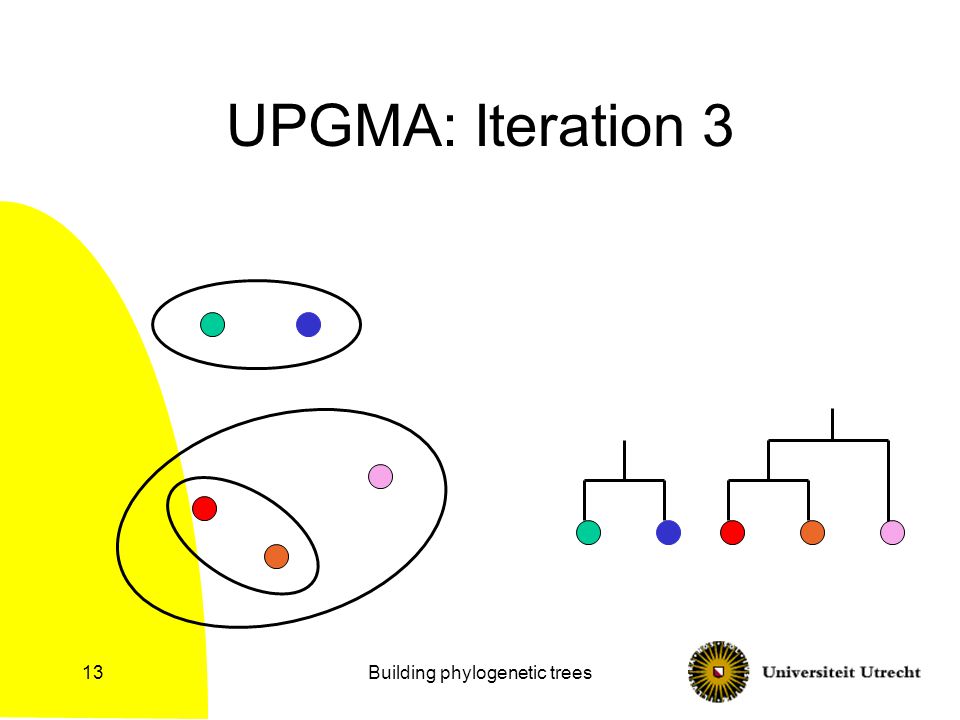 Building phylogenetic trees13 UPGMA: Iteration 3