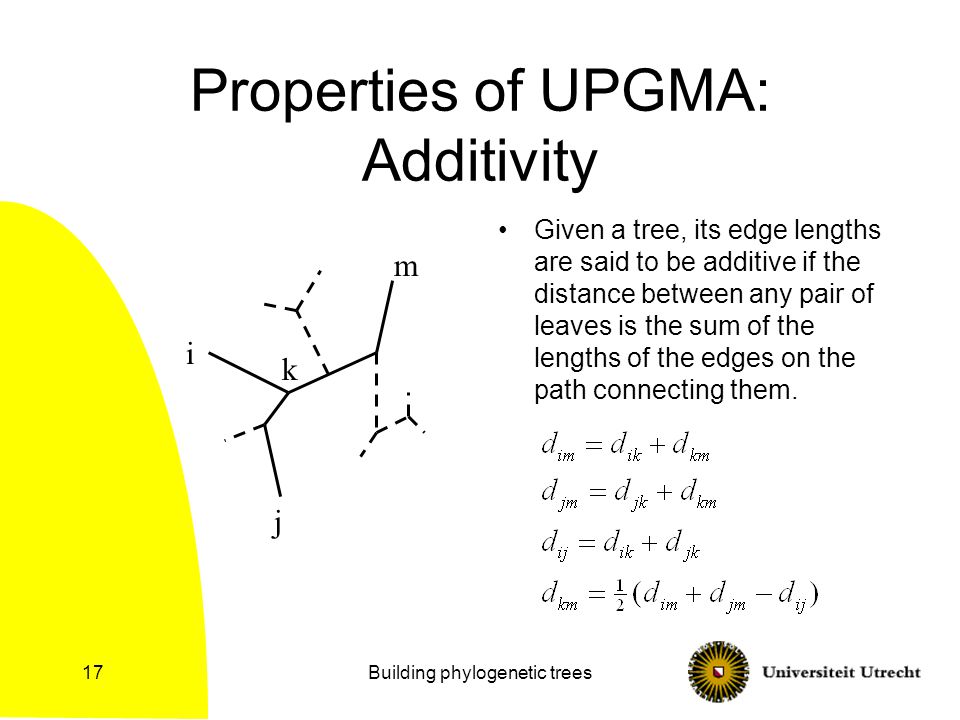 Building phylogenetic trees17 Properties of UPGMA: Additivity Given a tree, its edge lengths are said to be additive if the distance between any pair of leaves is the sum of the lengths of the edges on the path connecting them.