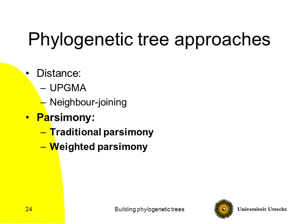 Building phylogenetic trees24 Phylogenetic tree approaches Distance: –UPGMA –Neighbour-joining Parsimony: –Traditional parsimony –Weighted parsimony