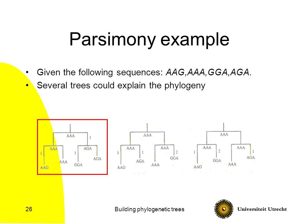 Building phylogenetic trees26 Parsimony example Given the following sequences: AAG,AAA,GGA,AGA.