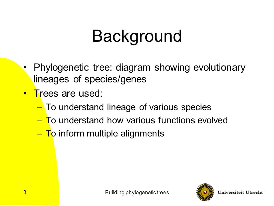 Building phylogenetic trees3 Background Phylogenetic tree: diagram showing evolutionary lineages of species/genes Trees are used: –To understand lineage of various species –To understand how various functions evolved –To inform multiple alignments