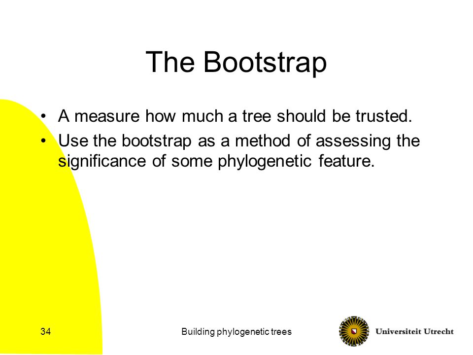 Building phylogenetic trees34 The Bootstrap A measure how much a tree should be trusted.
