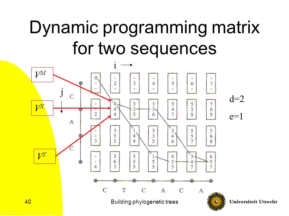 Building phylogenetic trees40 Dynamic programming matrix for two sequences VMVM VXVX VYVY d=2 e=1 i j