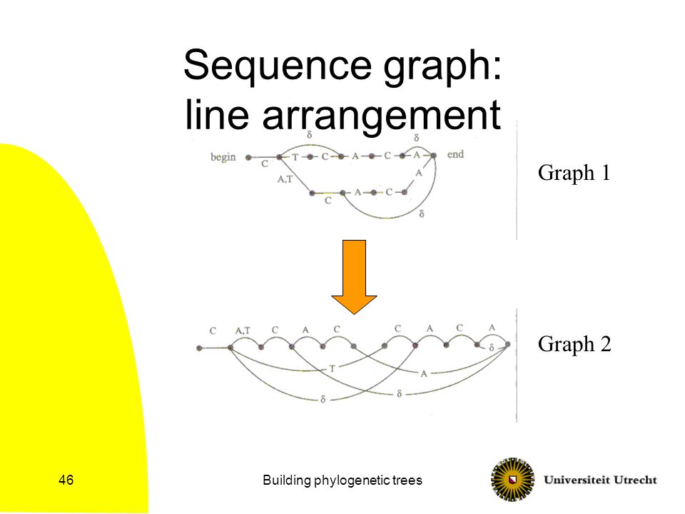 Building phylogenetic trees46 Sequence graph: line arrangement Graph 1 Graph 2