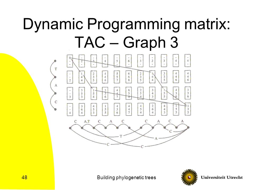 Building phylogenetic trees48 Dynamic Programming matrix: TAC – Graph 3