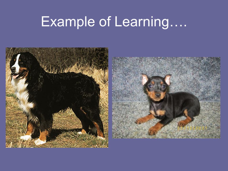 Example of Learning….