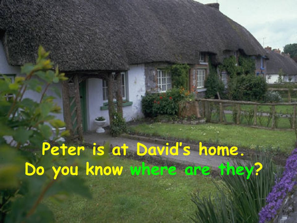 Peter is at David’s home. Do you know where are they