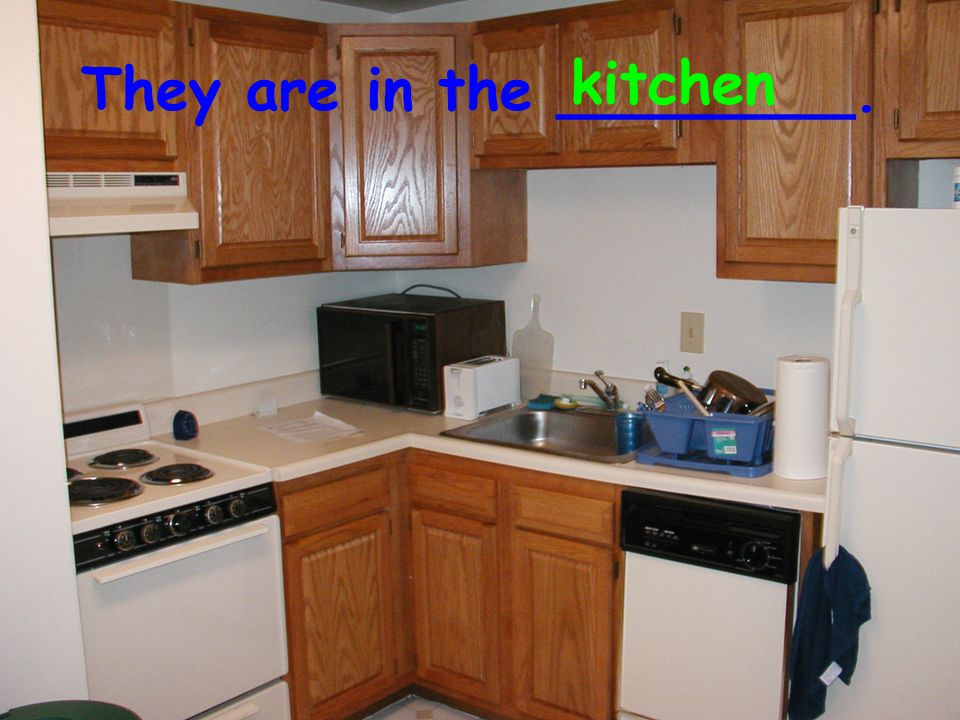 They are in the ________. kitchen