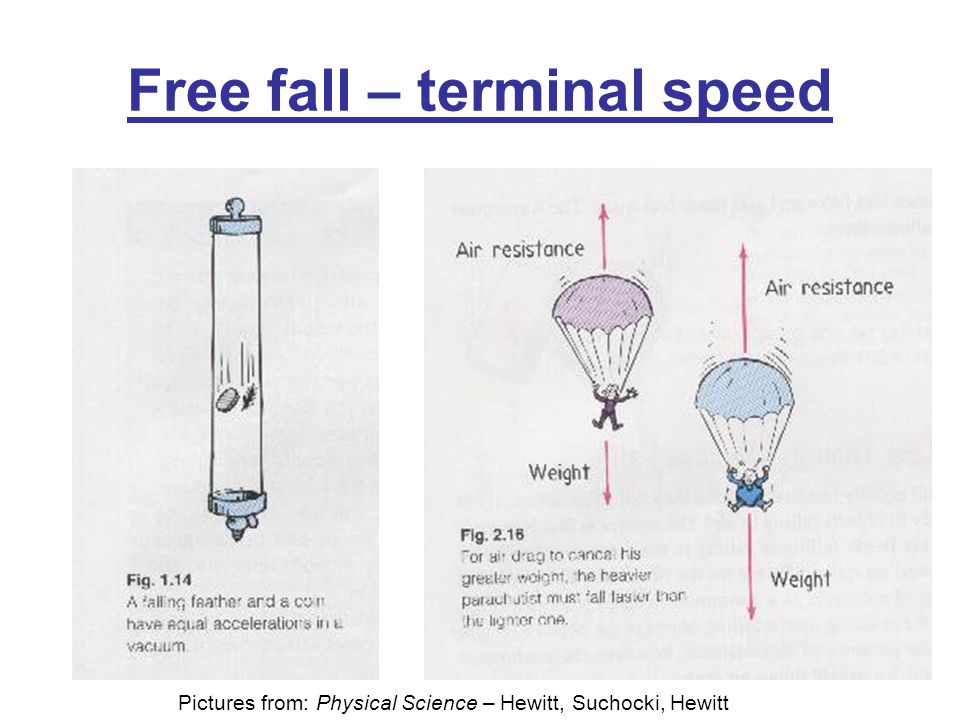 Free fall – terminal speed Pictures from: Physical Science – Hewitt, Suchocki, Hewitt