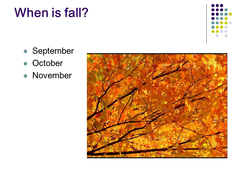 When is fall September October November
