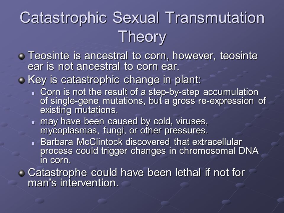 Catastrophic Sexual Transmutation Theory Teosinte is ancestral to corn, however, teosinte ear is not ancestral to corn ear.