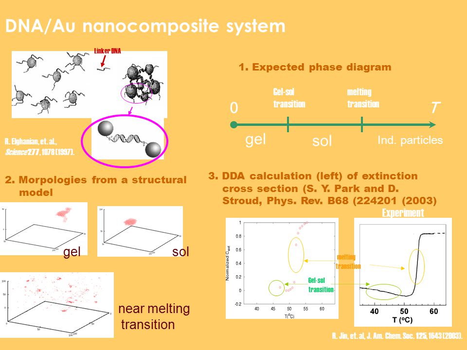 DNA/Au nanocomposite system R. Jin, et. al, J. Am.