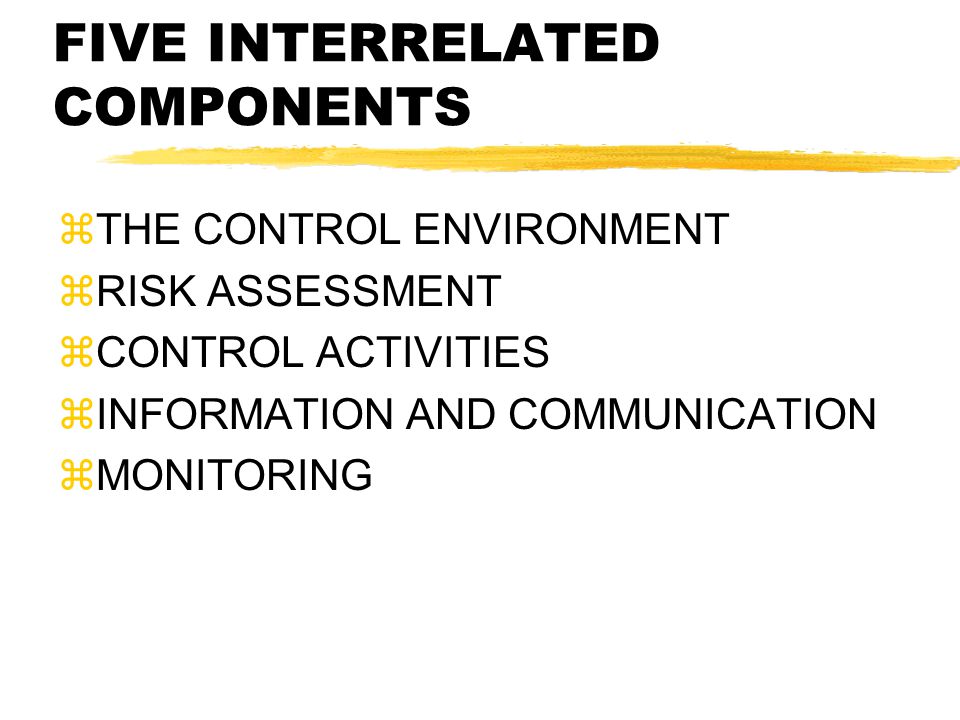 FIVE INTERRELATED COMPONENTS  THE CONTROL ENVIRONMENT  RISK ASSESSMENT  CONTROL ACTIVITIES  INFORMATION AND COMMUNICATION  MONITORING