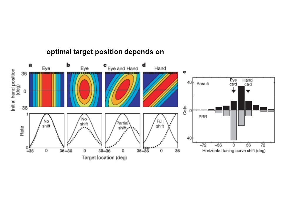 optimal target position depends on
